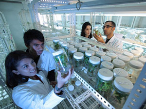 Science Laboratory 释放企业潜力的自动攻击网站工具下载